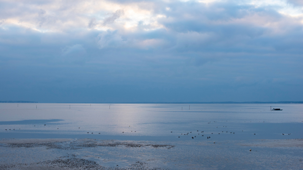 Suite premium offrant une véritable expérience sur le bassin d'Arcachon